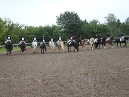 img_9396_web